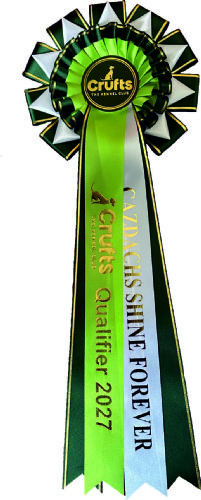 Crufts Qualifying Rosette WITH Dog's Name*